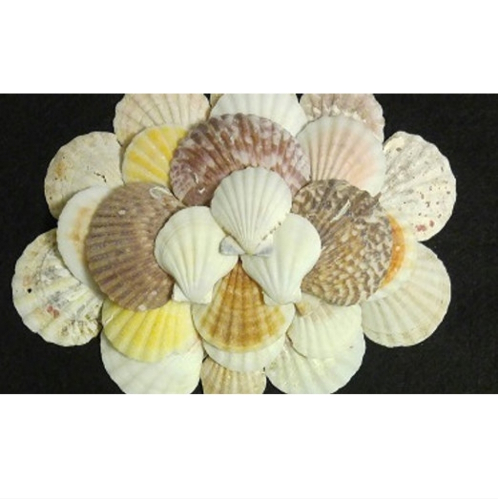 Wall Art Shell Flower Tree Shell Art - Picture 3 of 4